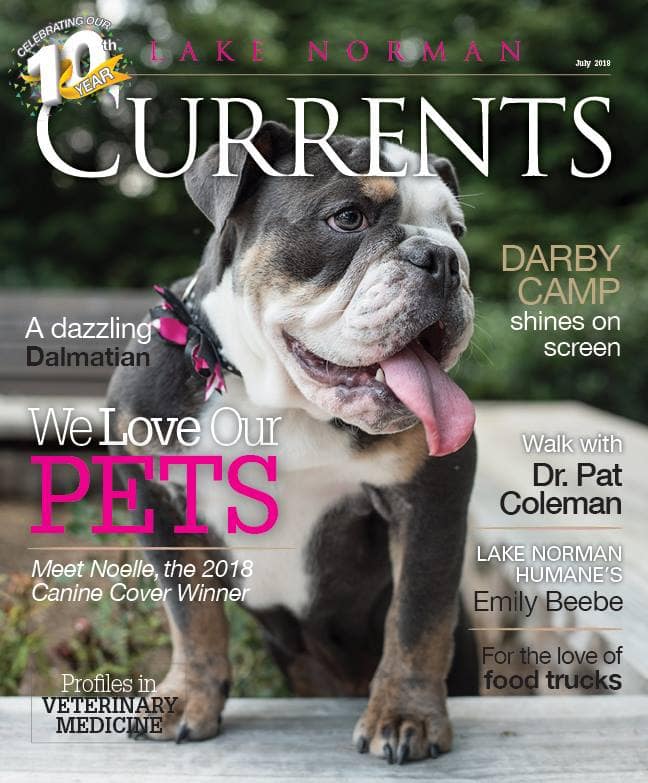 Lake Norman Currents Magazine Canine Cover Winner – Noelle 2018