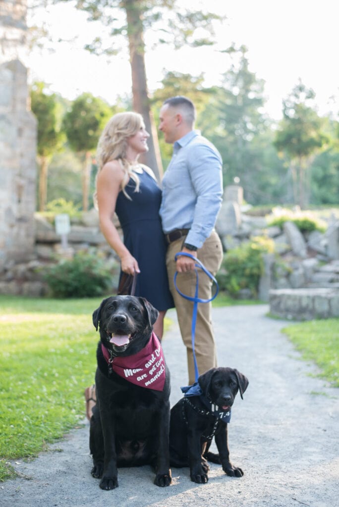 Dogs at engagement session